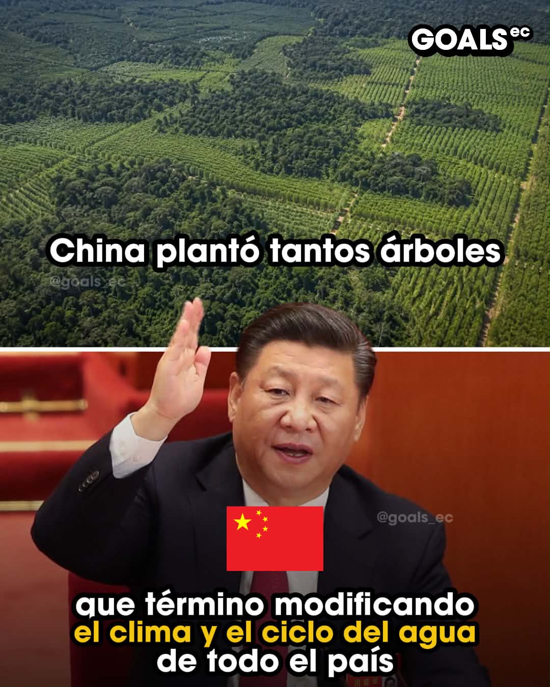 China plantó tantos árboles que cambió su propio ciclo del agua