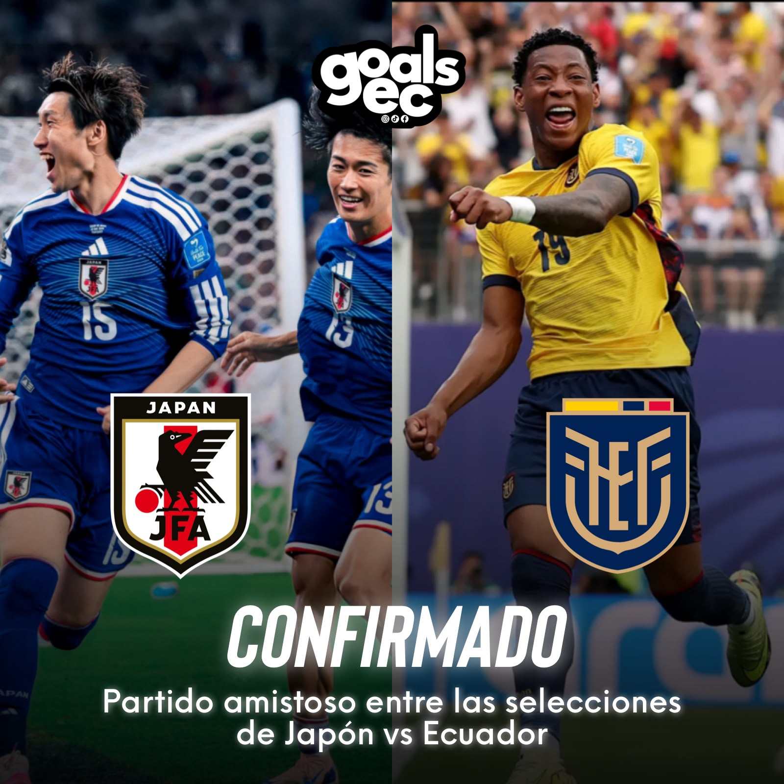 Ecuador apunta a Japón como posible rival en la próxima fecha FIFA